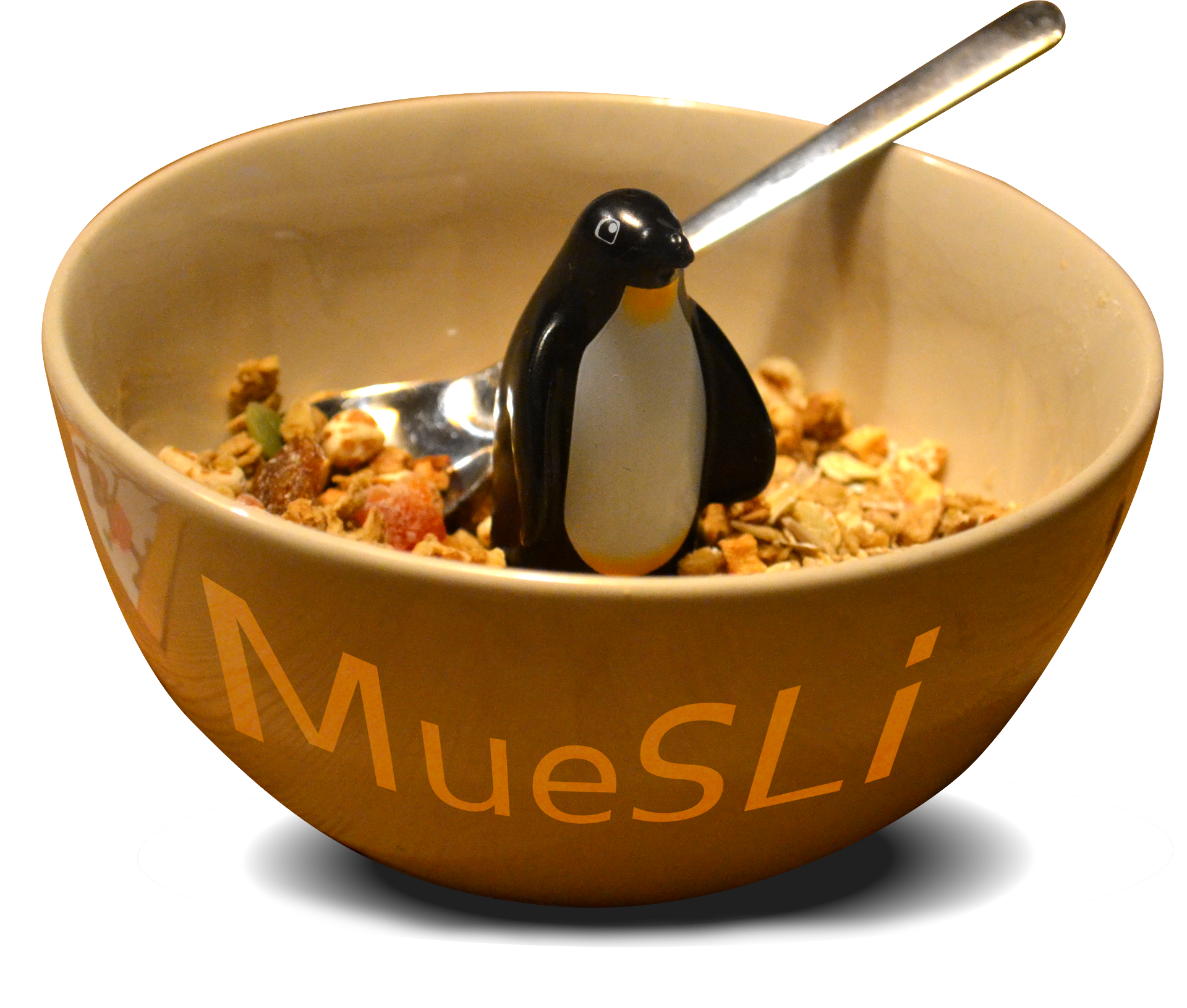 MueSLi Logo
